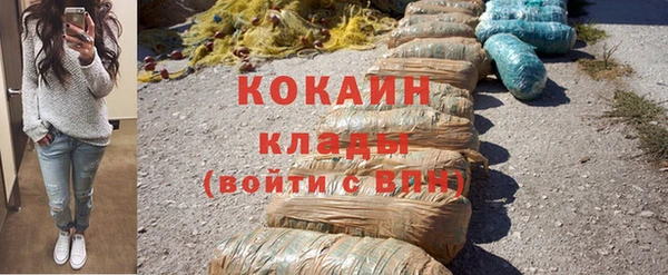 сатива Новозыбков