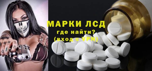 сатива Новозыбков