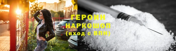 сатива Новозыбков
