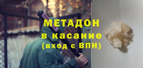 сатива Новозыбков