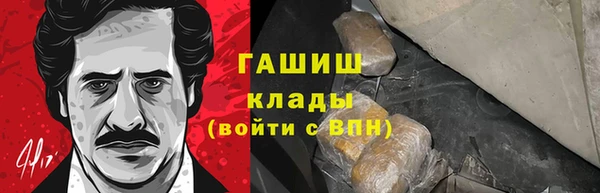 сатива Новозыбков