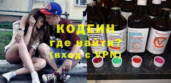 сатива Новозыбков