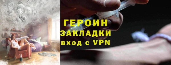 сатива Новозыбков