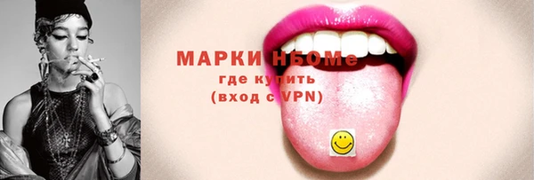сатива Новозыбков