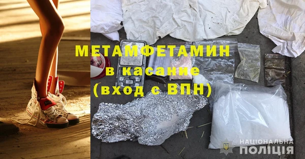 сатива Новозыбков