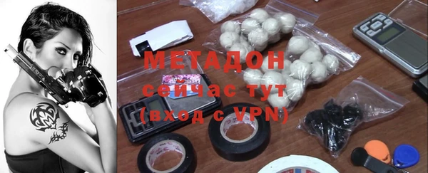 сатива Новозыбков