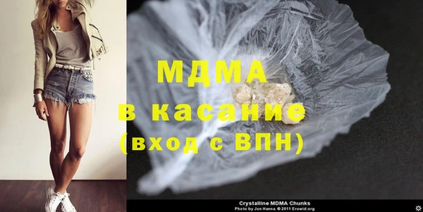 сатива Новозыбков