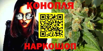 альфа пвп Волгодонск
