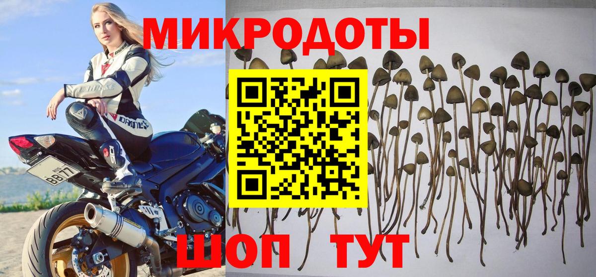 продажа наркотиков  Галлюциногенные грибы ЛСД  Дербент  Вход с VPN  Псилоцибиновые грибы ЛСД 