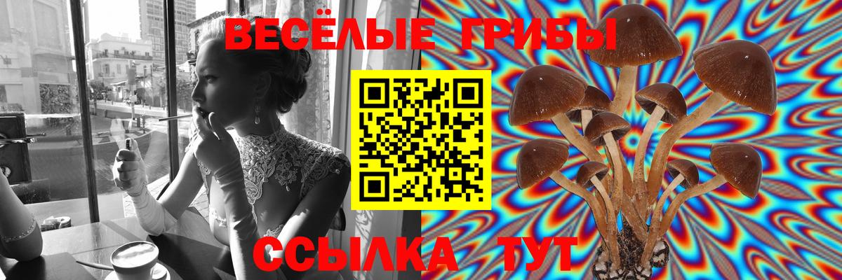 Галлюциногенные грибы MAGIC MUSHROOMS Дербент