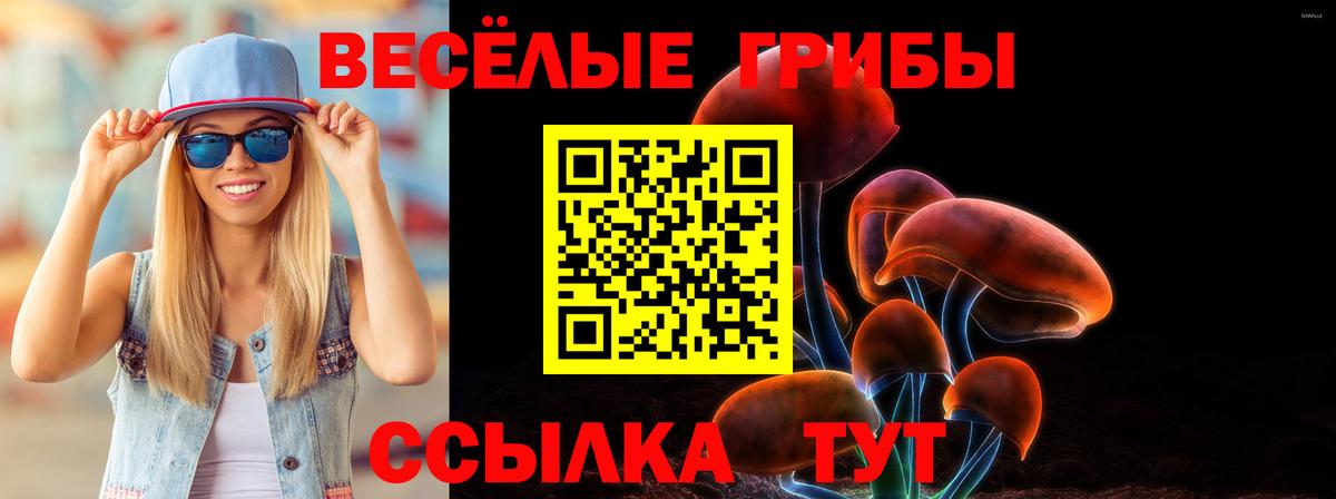 Псилоцибиновые грибы мицелий Дербент